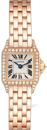 Cartier Santos Demoiselle WF9011Z8