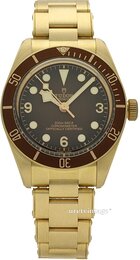 Tudor Black Bay M79012M-0001