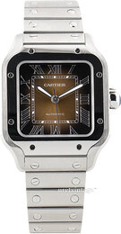 Cartier Santos de Cartier WSSA0065